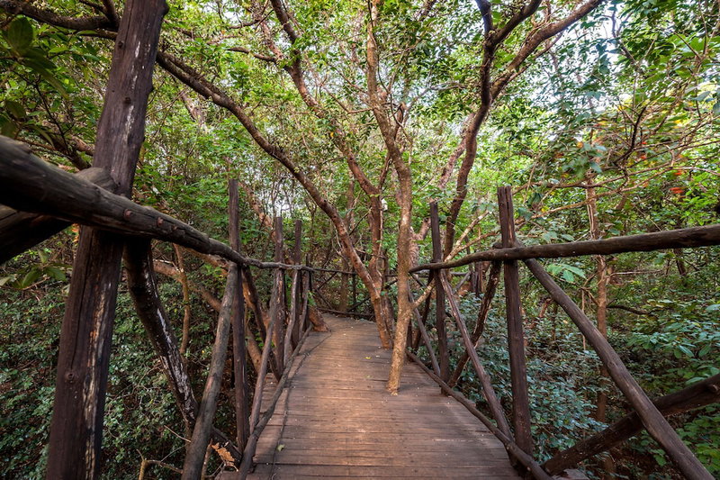 The Machan, Lonavla, India