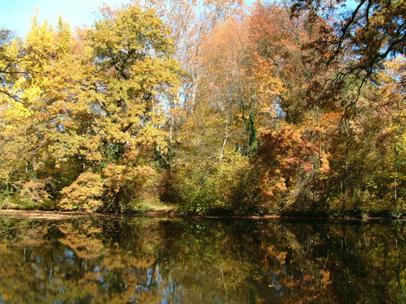 Ensana Thermal Sárvár, Sarvar, Венгрия