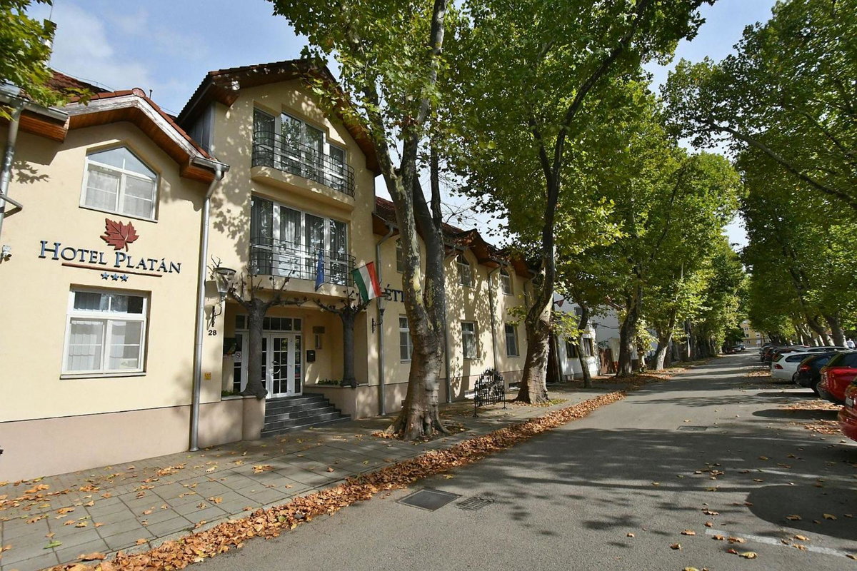 Hotel · Hotel Platan, Szekesfehervar