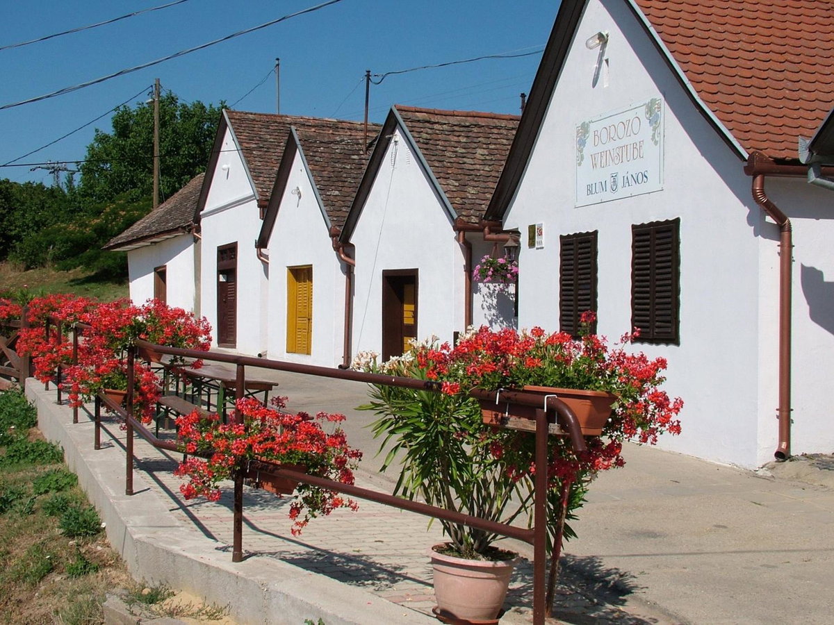 Blum Pince - Borozó Vendégház, Ungarn