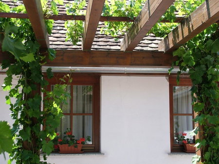 Blum Pince - Borozó Vendégház, Mohacs, Ungarn