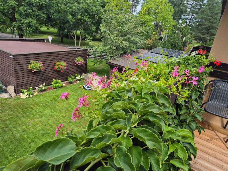 Apartamentai pas Danutę, Prienai, Lithuania