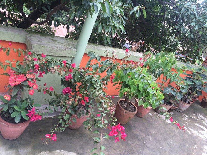 hotel Backpackers inn, Kathmandu, Népal