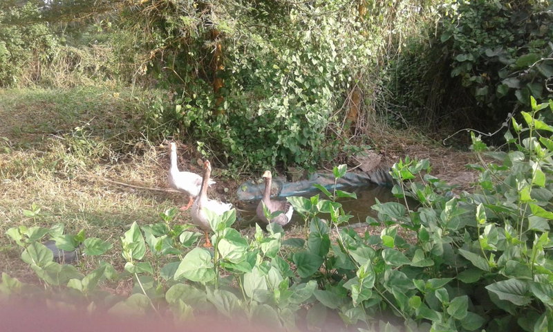 Cactus Eco Camp and Lodge, Ol Kalou, Kenia