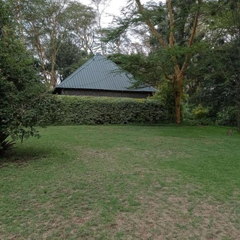 Cactus Eco Camp and Lodge, Ol Kalou, Кения