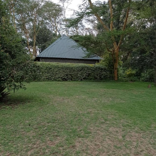 Cactus Eco Camp and Lodge, Ol Kalou, Kenia