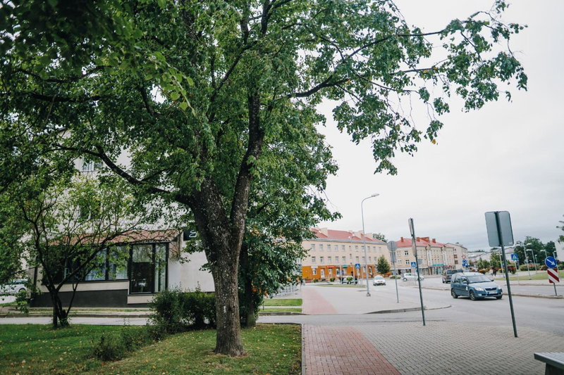 City center Appartment, Valmiera, Latvia