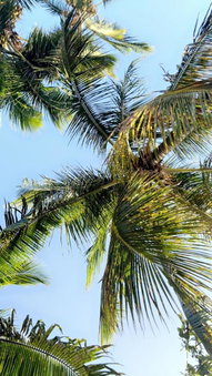 Only4view - Rooftop & spa Sainte-Anne, Sainte-Anne, Guadeloupe