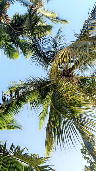 Only4view - Rooftop & spa Sainte-Anne, Sainte-Anne, Guadeloupe