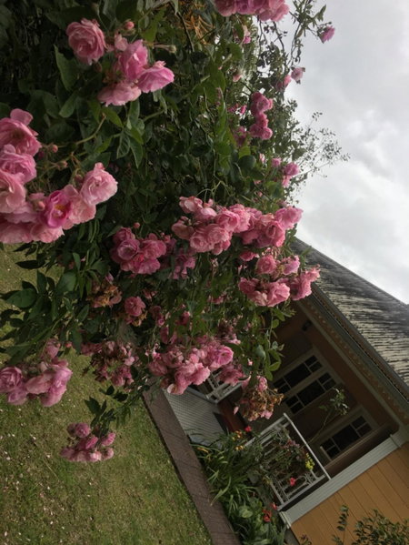 Relais Des Gouverneurs, Salazie, Reunión