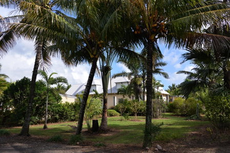 Domaine des Oiseaux Réunion, Saint-André, Réunion