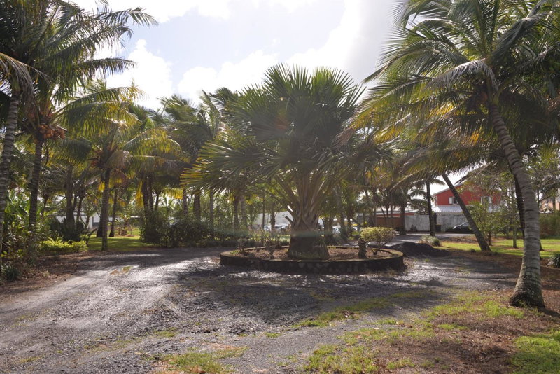 Domaine des Oiseaux Réunion, Saint-André, Réunion