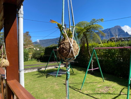 villa begue, Cilaos, Réunion