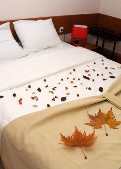 Hotel Tomce Sofka, Skopje, North Macedonia