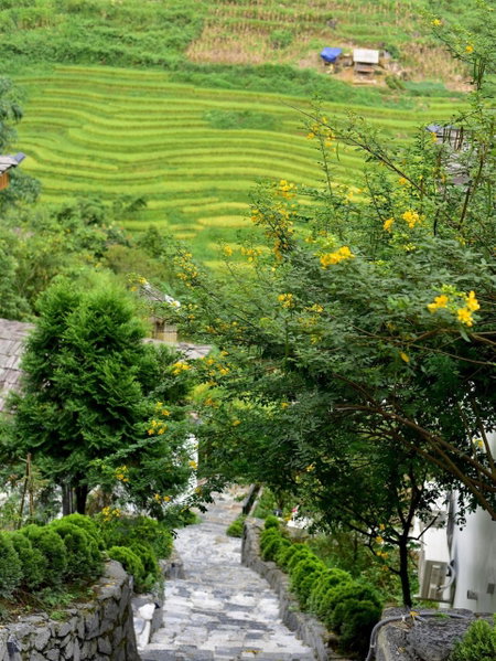 Maison de Lao Chai, Lao Cai, Вьетнам