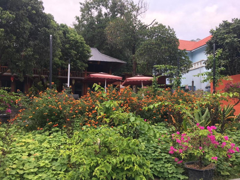Catba Papillon Garden Bungalows & Resort, Cat Ba, Vietnam