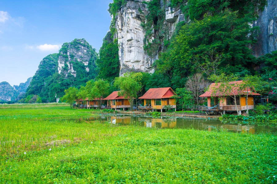 Lotus Field Homestay, Ninh Binh, Việt Nam