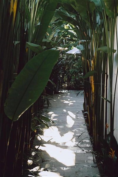 Tropical Home Villa, Hoi An, Vietnam