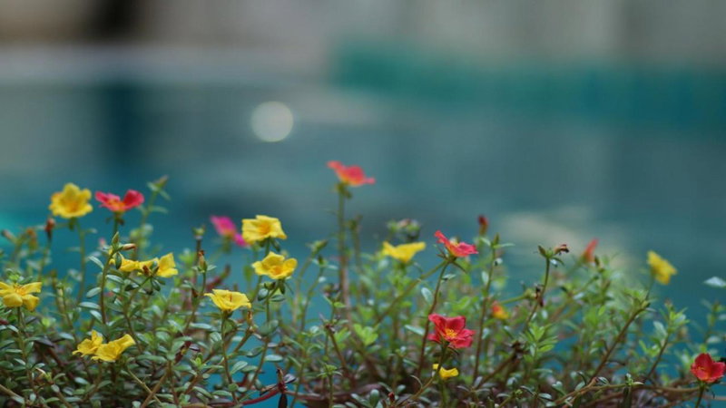 Long Life Riverside Hotel, Hoi An, Việt Nam