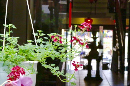 Long Life Riverside Hotel, Hoi An, Việt Nam