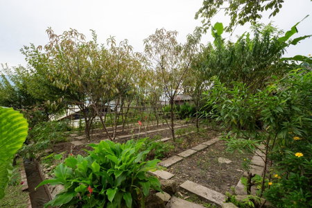 Moc Home Sapa, Lao Cai, Vietnam