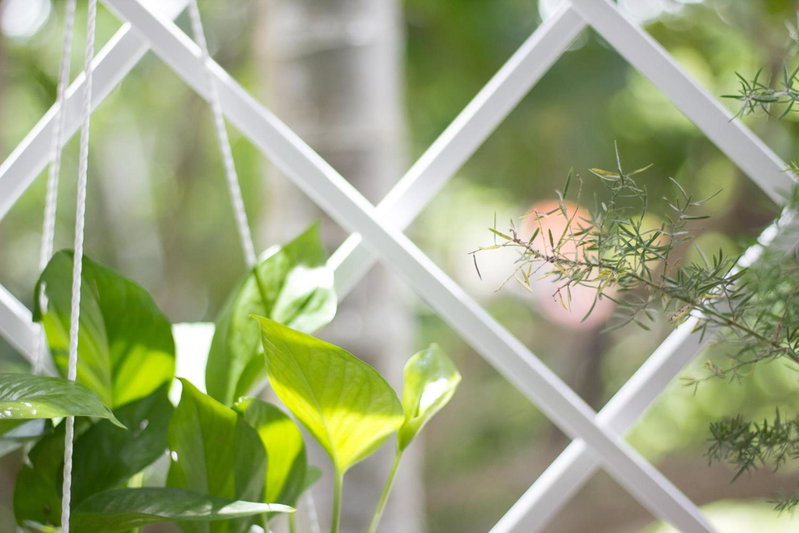 Bean Grass Homestay, Hoi An, Việt Nam