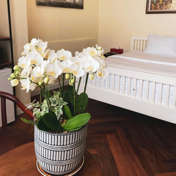 9 Hostel and Suites, Thành phố Hồ Chí Minh, Việt Nam