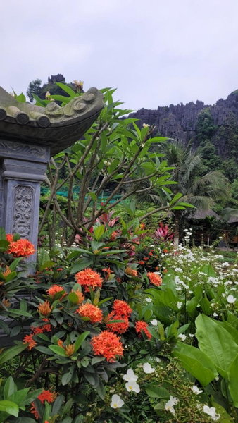 Fairy Mountain Retreat, Ninh Binh, Việt Nam