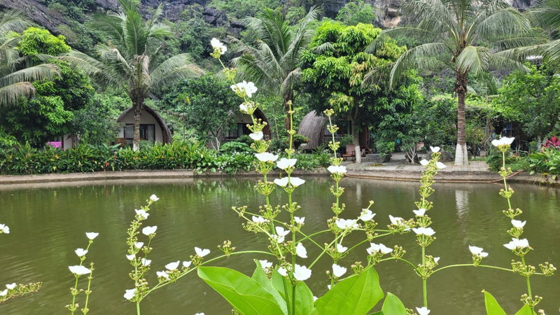 Fairy Mountain Retreat, Ninh Binh, Việt Nam