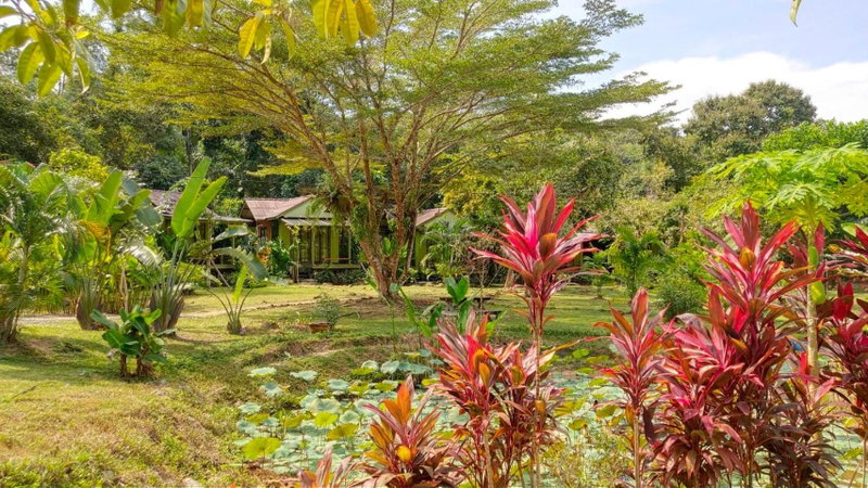 Baan Bua Cottage, Ko Kood, ประเทศไทย
