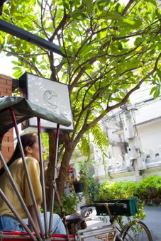 Changmoi House (Little Village), Chiang Mai, ประเทศไทย