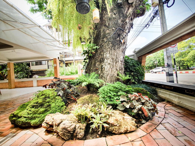 Big Tree Old Town Hotel, Chiang Mai, Thaïlande