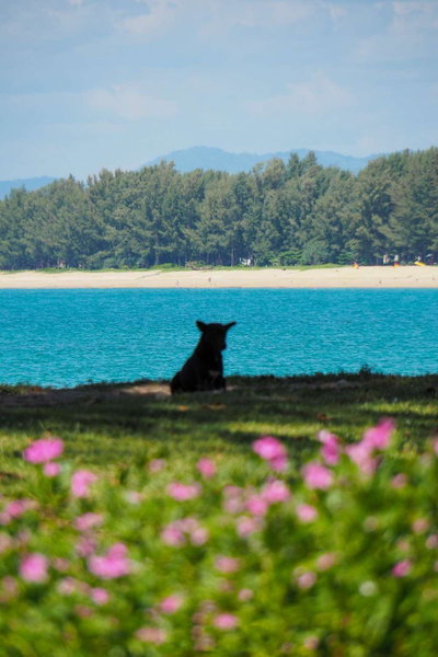 Ideo Phuket Hotel - Naiyang Beach, คาทุ, ประเทศไทย