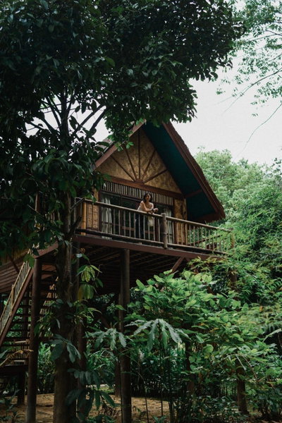 Our Jungle Camp, Khao Sok, ประเทศไทย