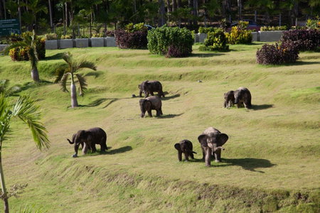 Arawan Beach Resort Krabi, Krabi, ประเทศไทย