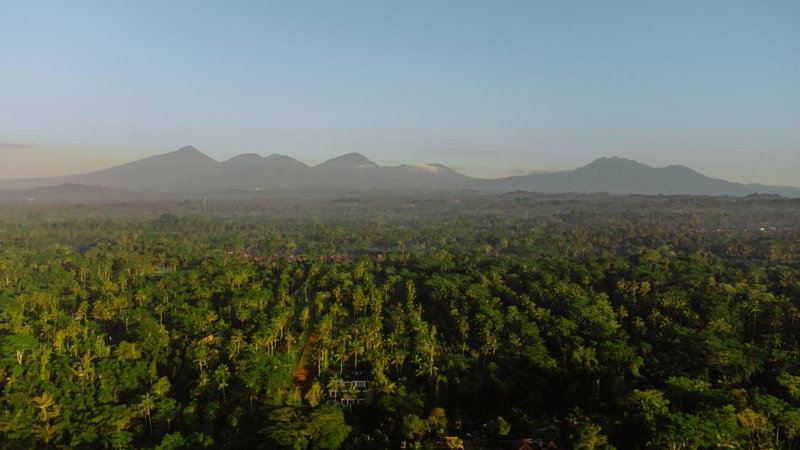 Bagus Jati Health & Wellbeing Retreat, Ubud, 인도네시아 공화국