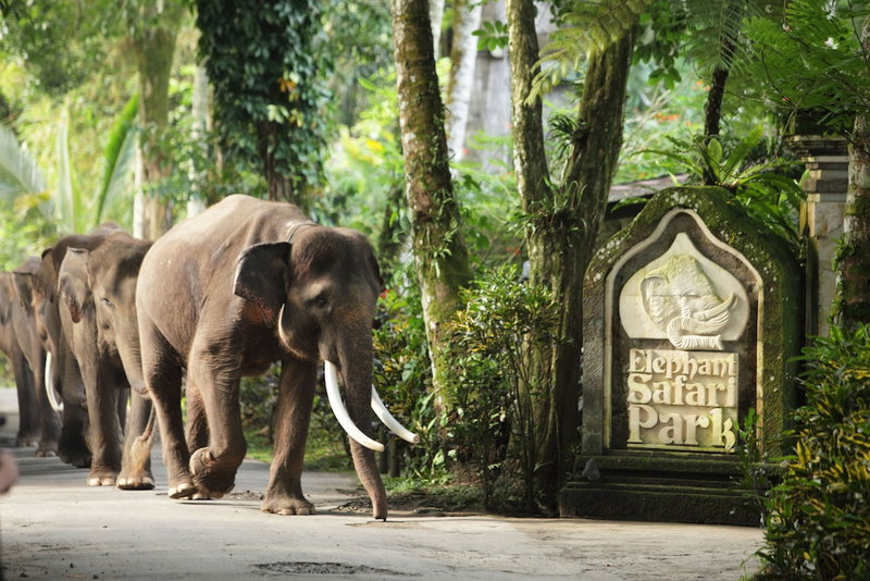 Mason Elephant Lodge, Ubud, 인도네시아 공화국
