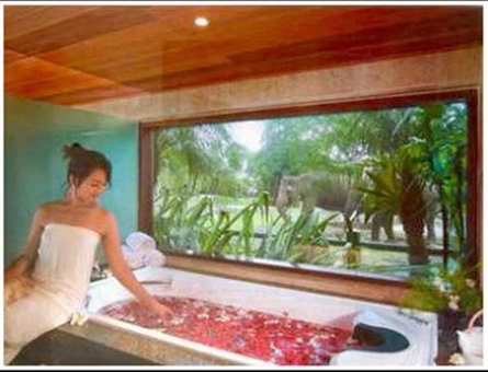 Mason Elephant Lodge, Ubud, 인도네시아 공화국