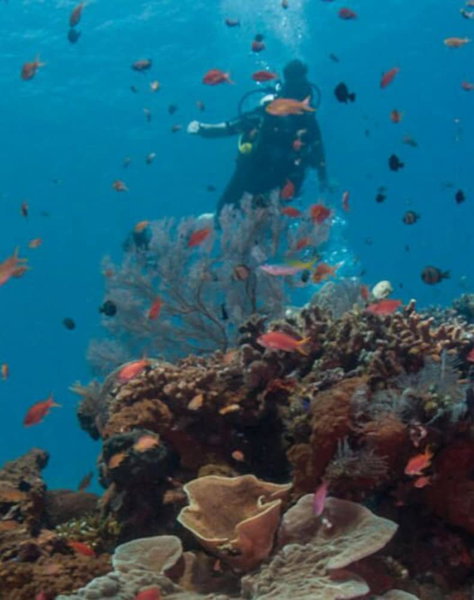 Puri Wirata Dive Resort and Spa, Amlapura, 인도네시아 공화국