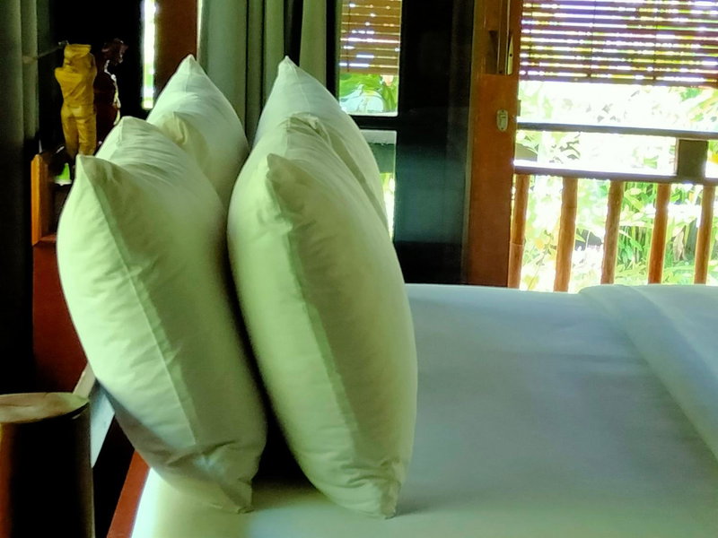 Pier26 Bali Homestay, Kuta, Indonesia