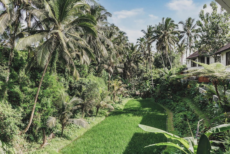 Dedary Resort & Spa Ubud by Ini Vie Hospitality, Ubud, Indonesia