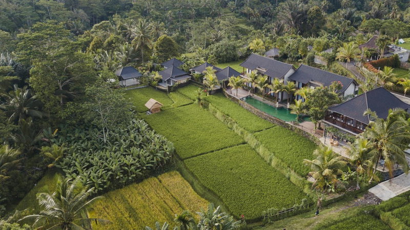 Pinggala Villa Ubud, Ubud, 인도네시아 공화국