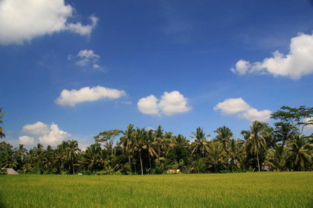 Junjungan Ubud Hotel and Spa, Ubud, Indonesia