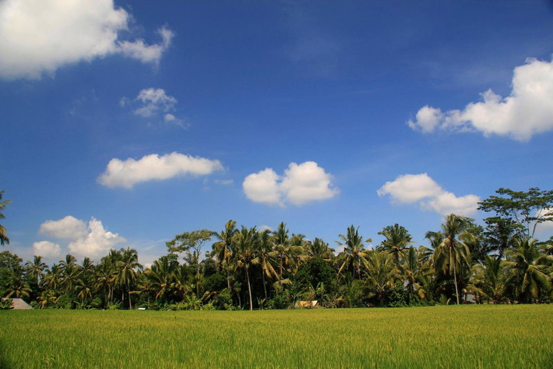 Junjungan Ubud Hotel and Spa, Ubud, Indonesia