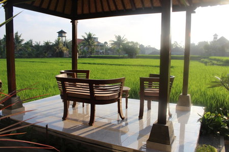 Sri Aksata Ubud Resort, Ubud, Indonesia