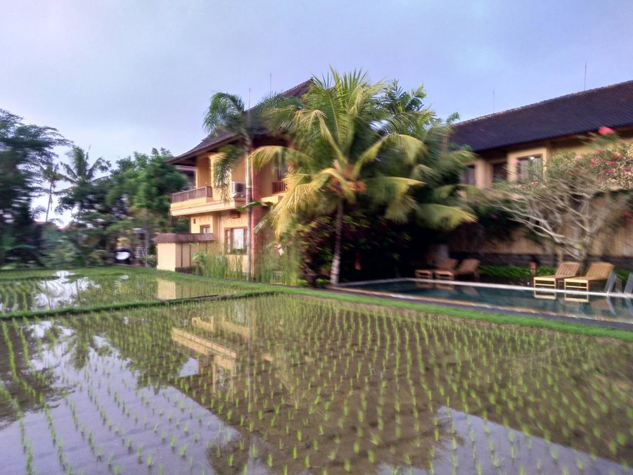 Ubud Lestari Bungalows, Ubud, Indonesia
