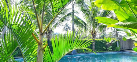 Galang hari villa, Ubud, Indonesia