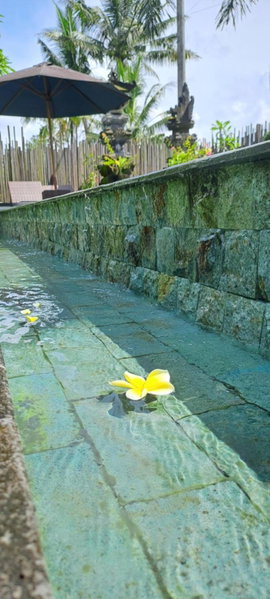 Galang hari villa, Ubud, Indonesia