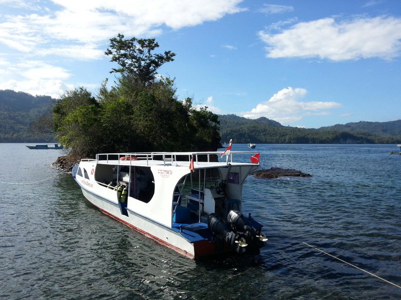 Cocotinos Lembeh a Boutique Dive Lodge, Bitung, Indonesia