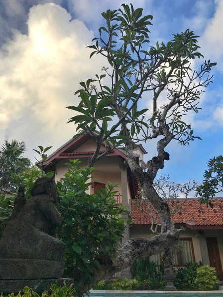 Puri Mesari Hotel, Denpasar, Indonesia
